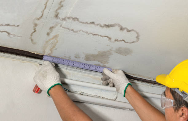 Reliable Water Damage contractor in Wallpack Center, NJ by Water Damage Irwin